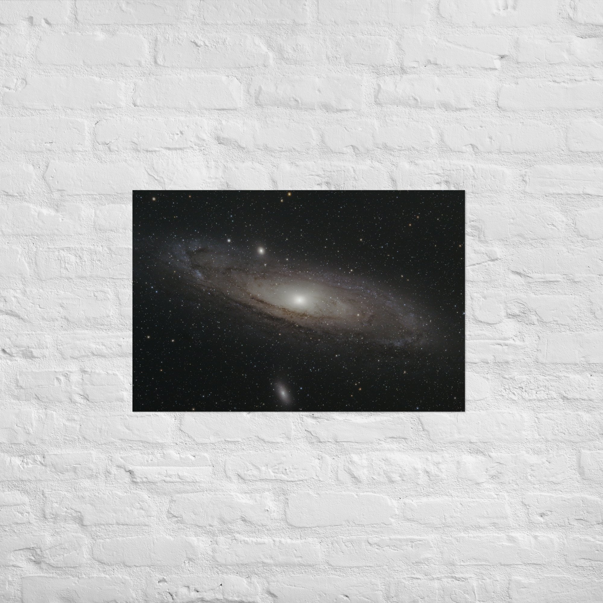 enhanced-matte-paper-poster-(in)-20x30-front-675db5303b8f8.jpg