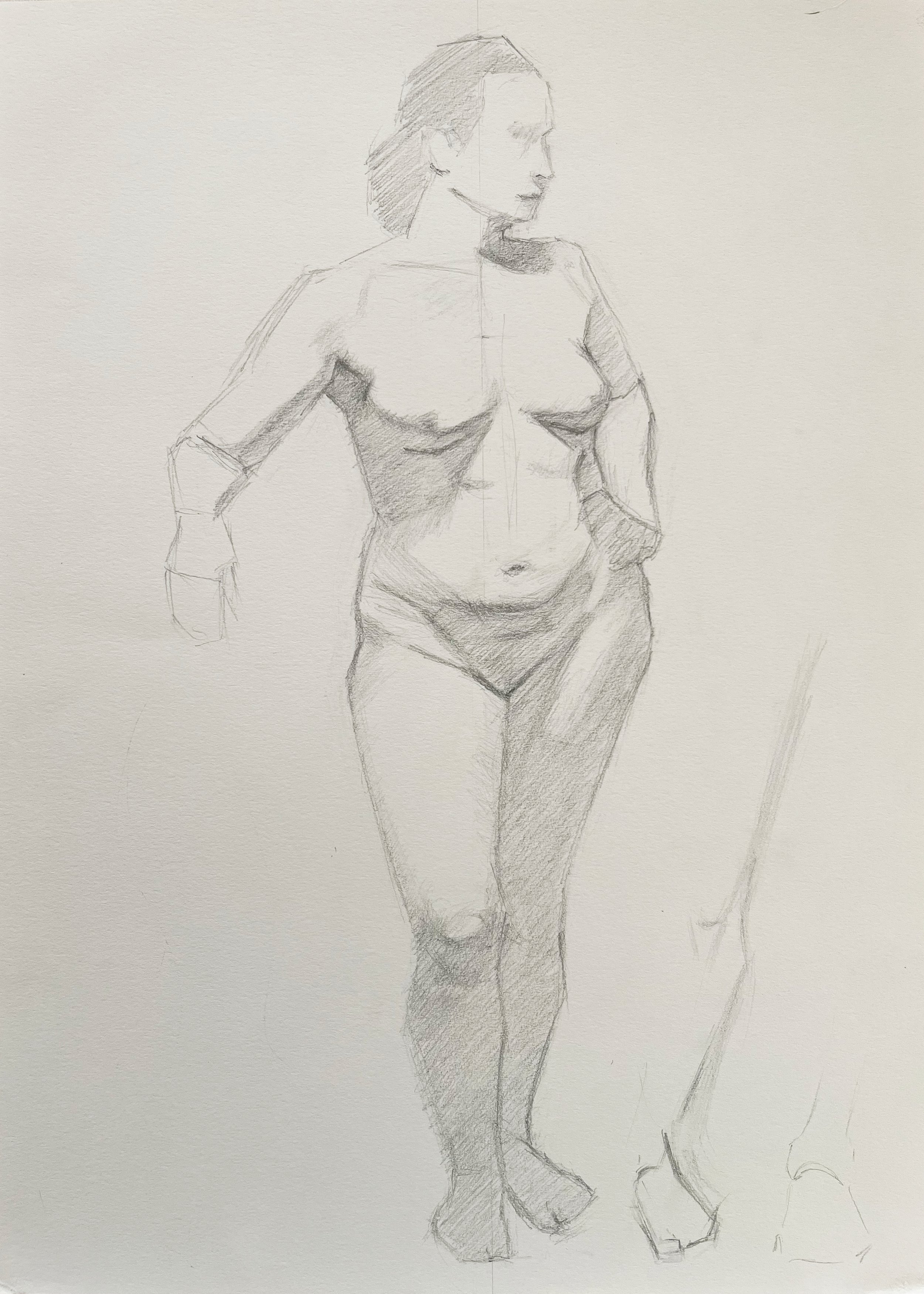Hand drawing of a nude female torso drawn in a sketchy way using graphite on white paper.
