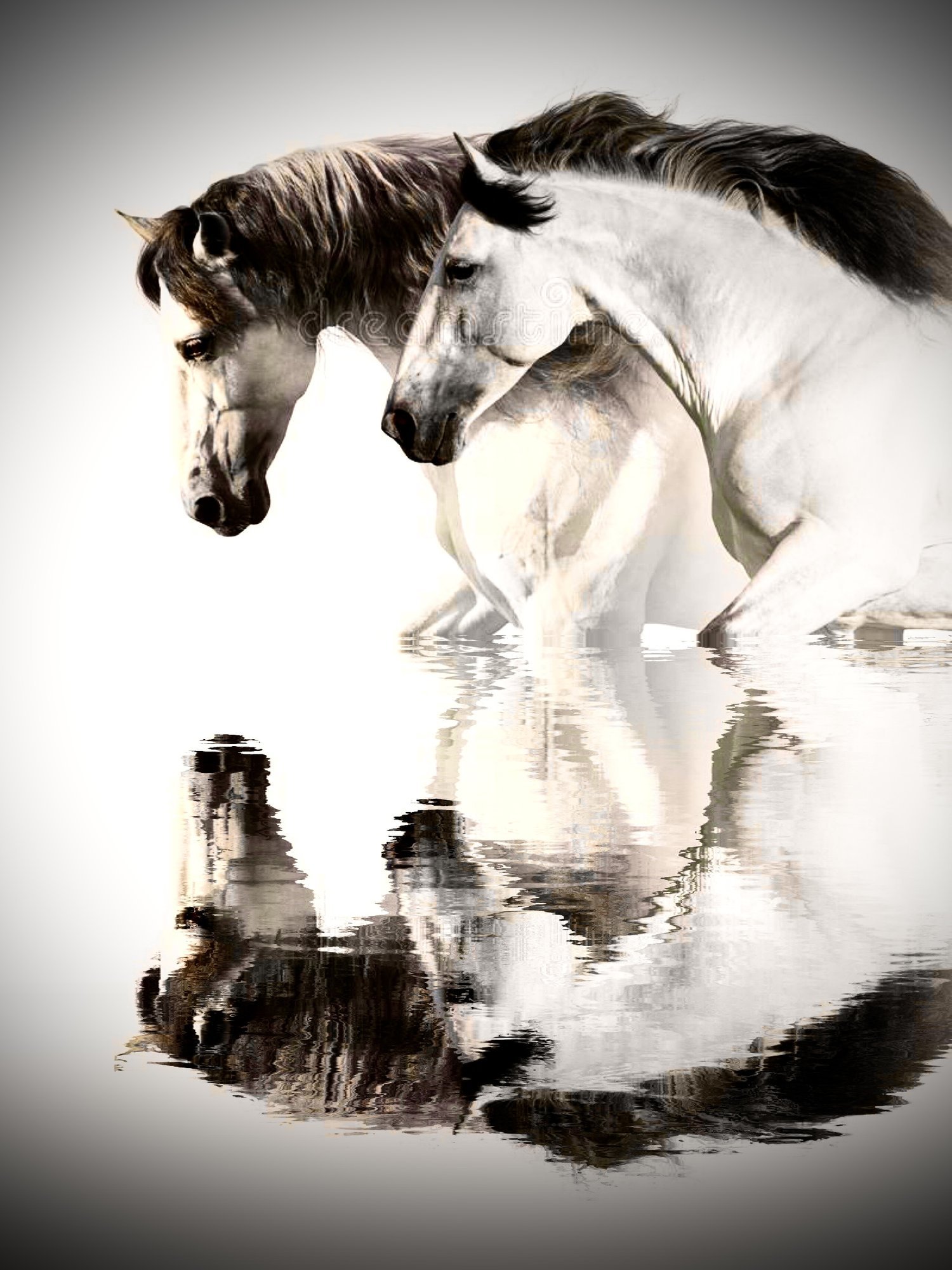 DREAM SEQUENCES, HORSES AS HERO'S AND ARCHETYPES © 2023