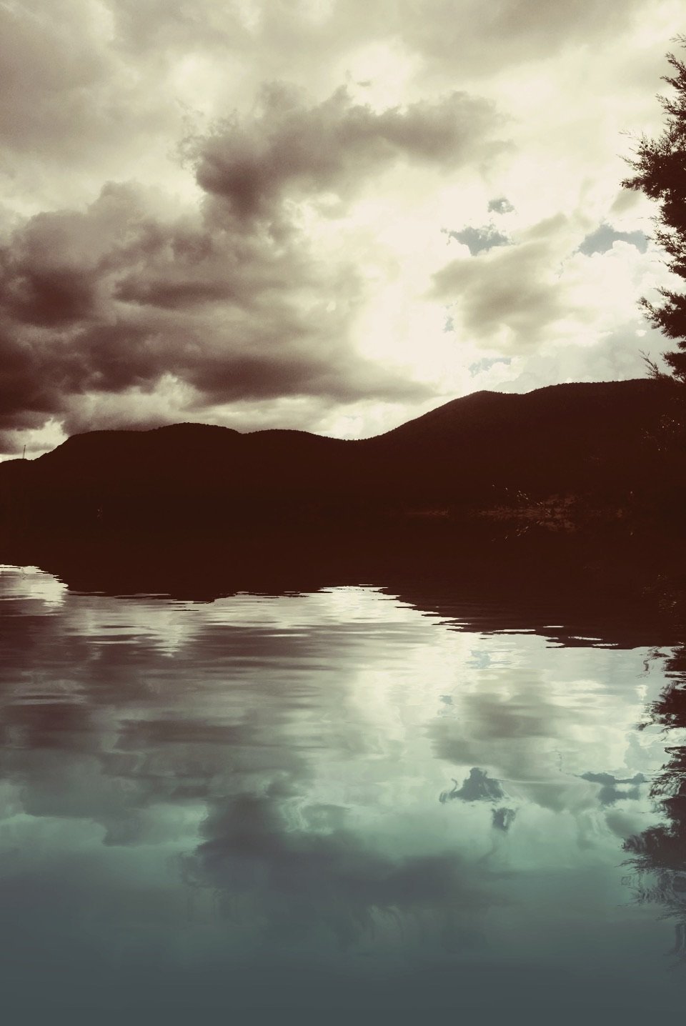 image-6.jpg