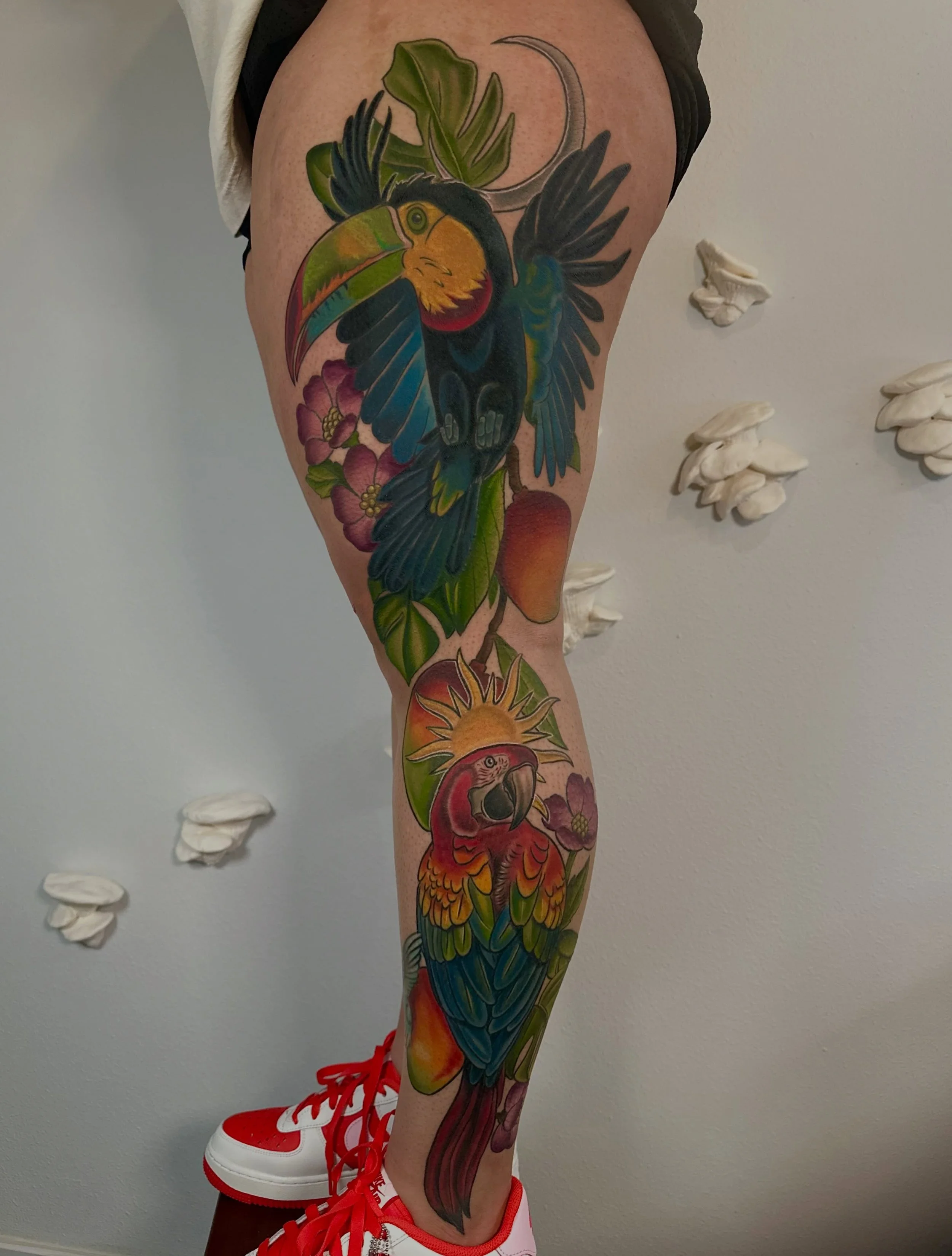 I never got around to posting this tropical leg panel that I did for Stephany before she moved to Mexico. All healed. It was so fun!
.
.
#tattoos #largescaletattoo #eugeneoregon