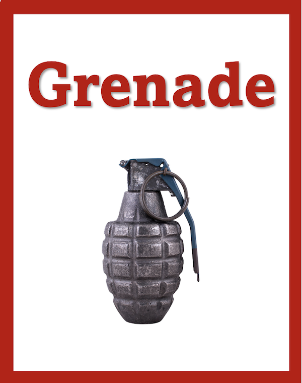 Grenade by Alan Gratz Chapter Summaries