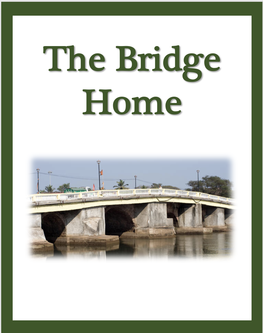 The Bridge Home by Padma Venkatraman Chapter Summaries