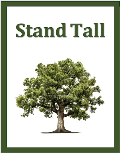 Stand Tall by Joan Bauer Chapter Summareis
