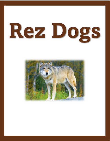 Rez Dogs by Joseph Buchac Chapter Summaries