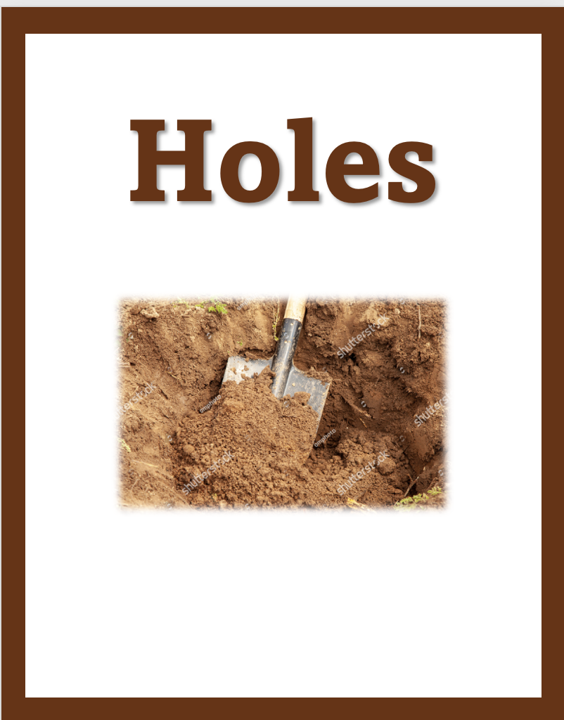 Holes by Louis Sachar Chapter Summaries