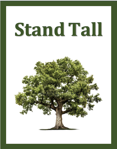 Stand Tall by Joan Bauer Chapter Summareis