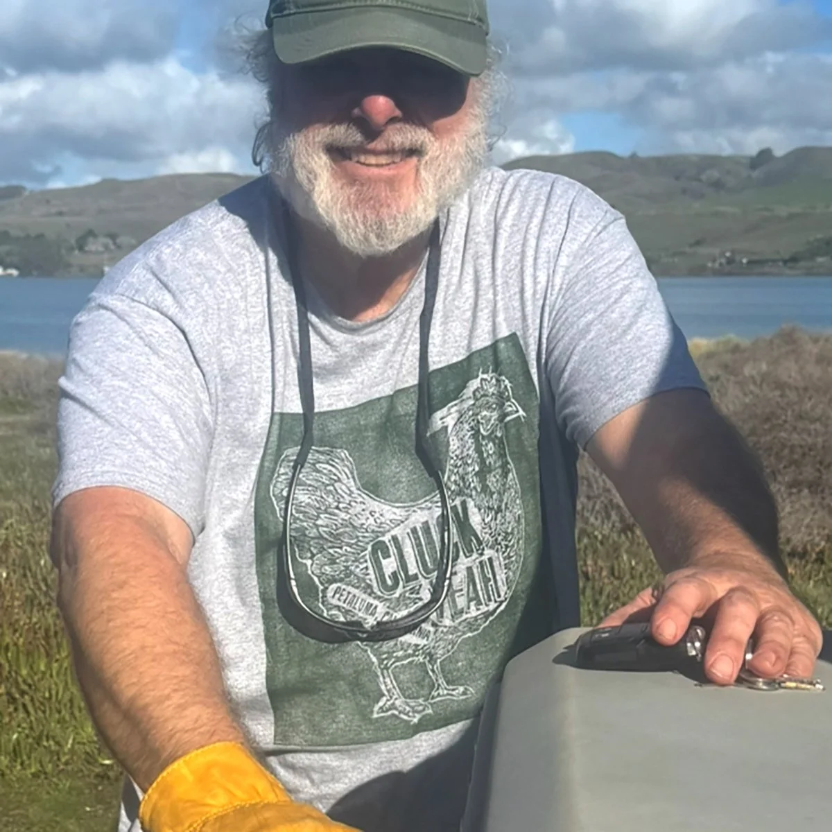 Illustrations: Cluck Yeah!