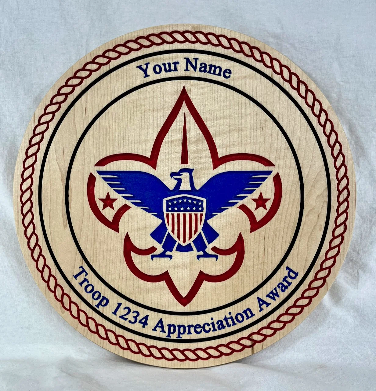 BSA Appreciation Plaque.jpeg