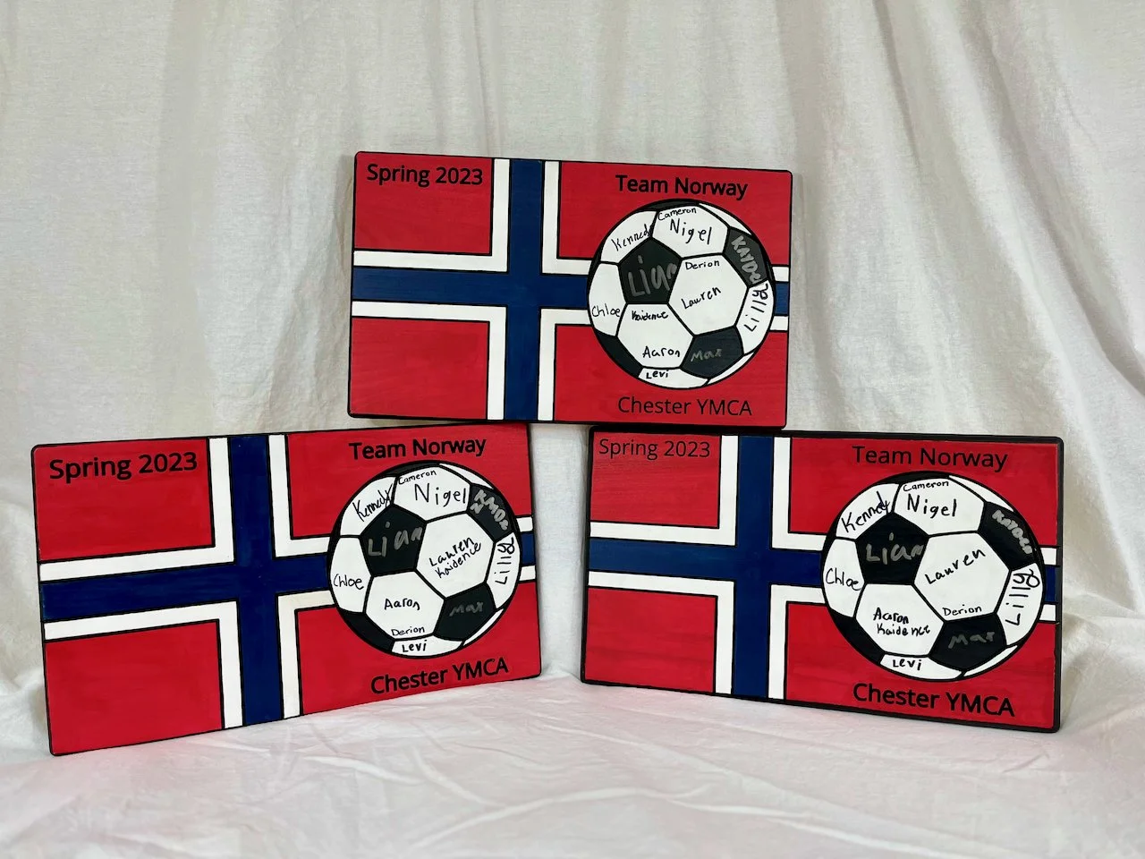 Soccer Coach Appreciation Awards.jpeg