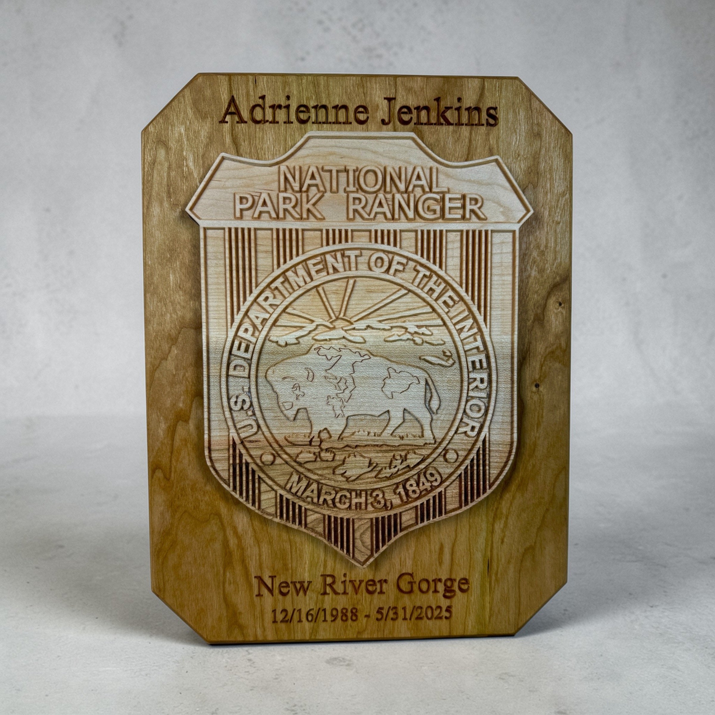 National Park Service Buffalo Badge Plaque