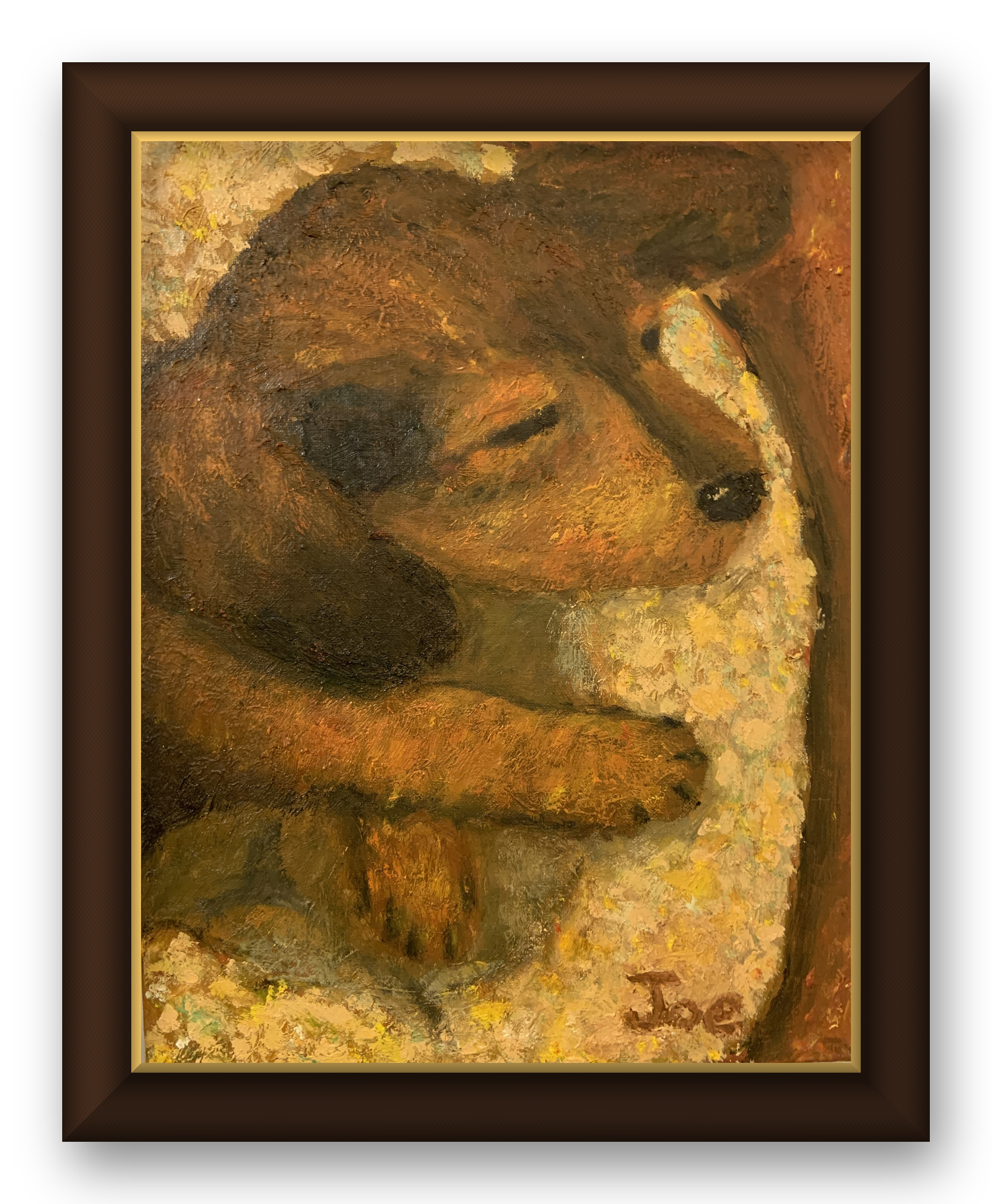 02-sleeping-dog.png