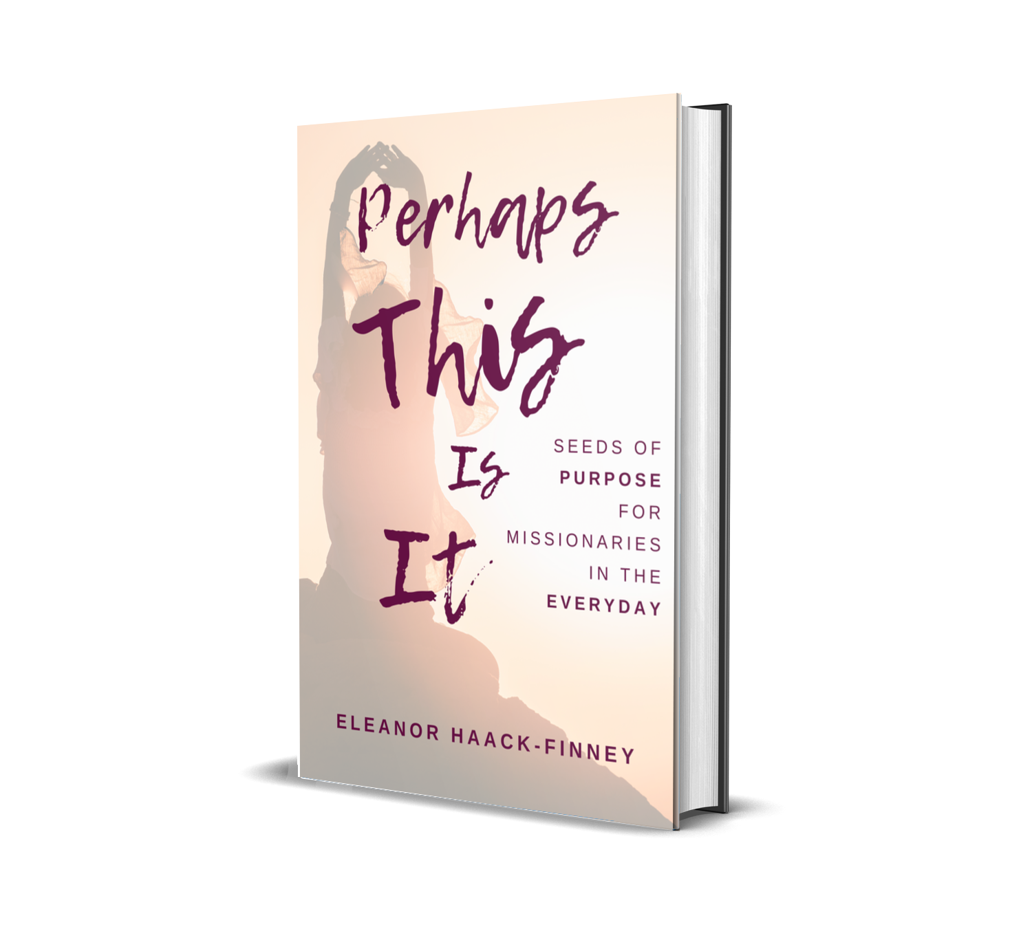 Perhaps This Is It - Hardcover In Person Pickup