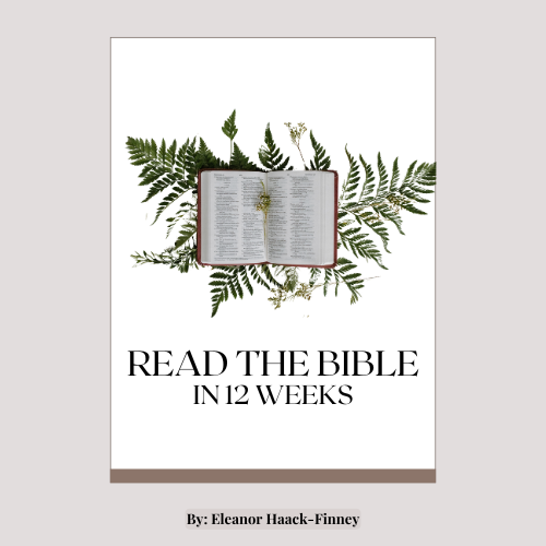 Read the Bible in 12 Weeks Planner