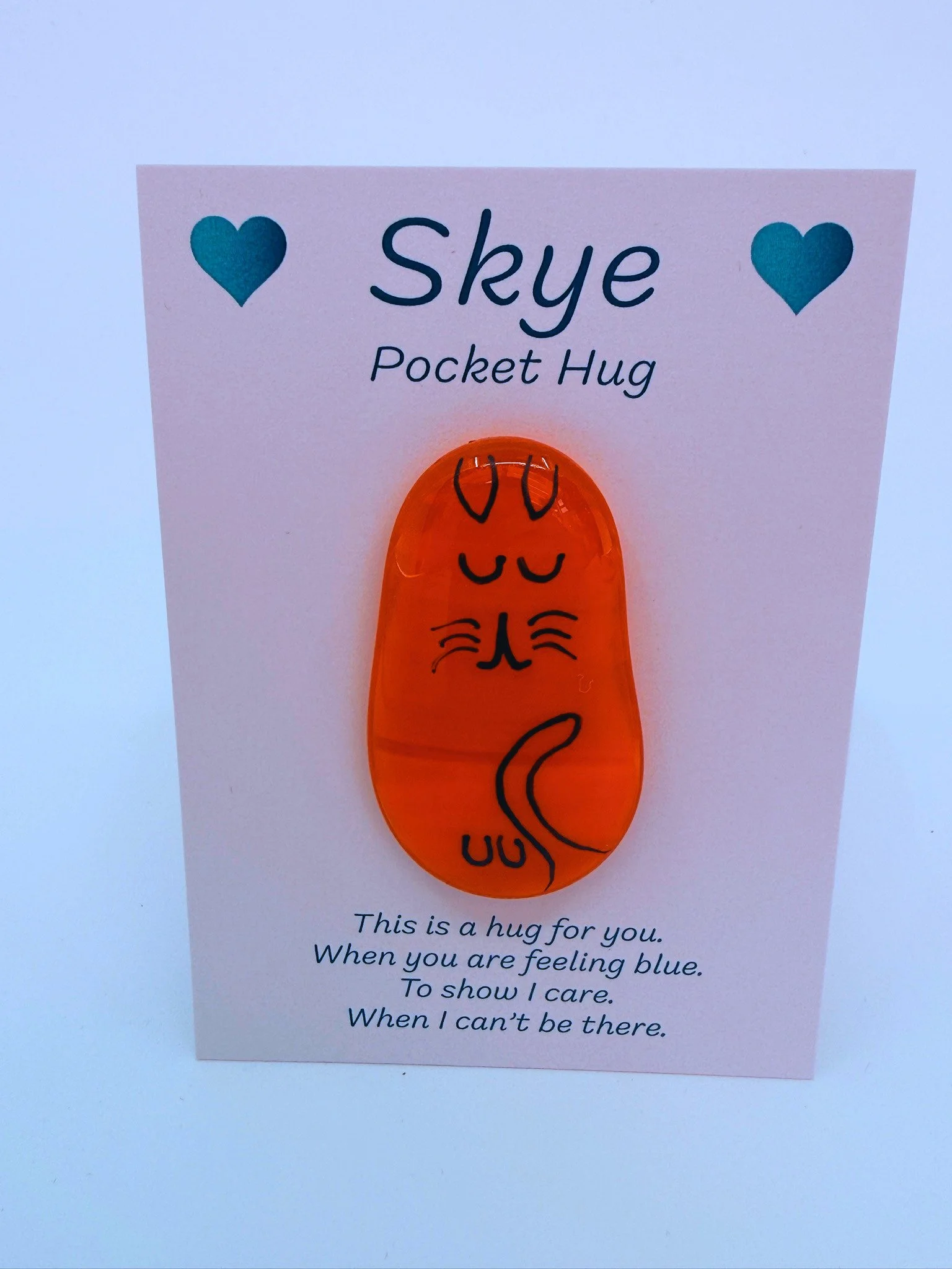 Pocket Cat Example 1