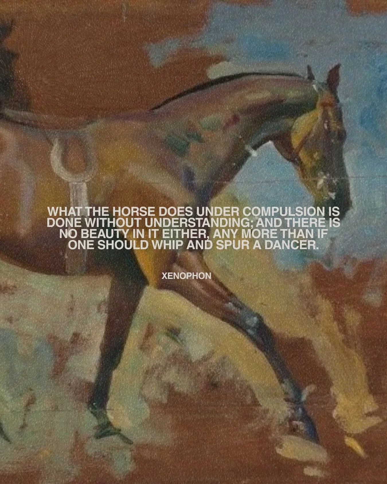 welcome 2 the year of the horse! ✨