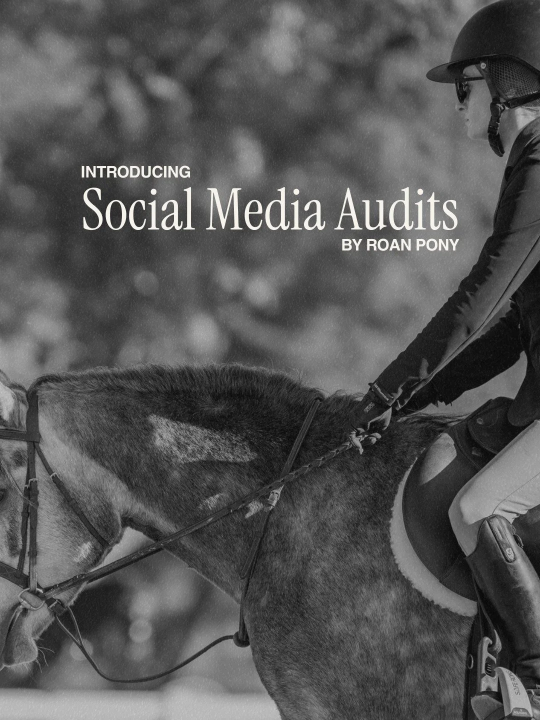 i often have people ask me, more or less, &ldquo;can you just look at my social and tell me what i should do?&rdquo; &hellip;.and now i can! 

because your wish is my command, i&rsquo;m offering social media audits &mdash; focused reviews of your con