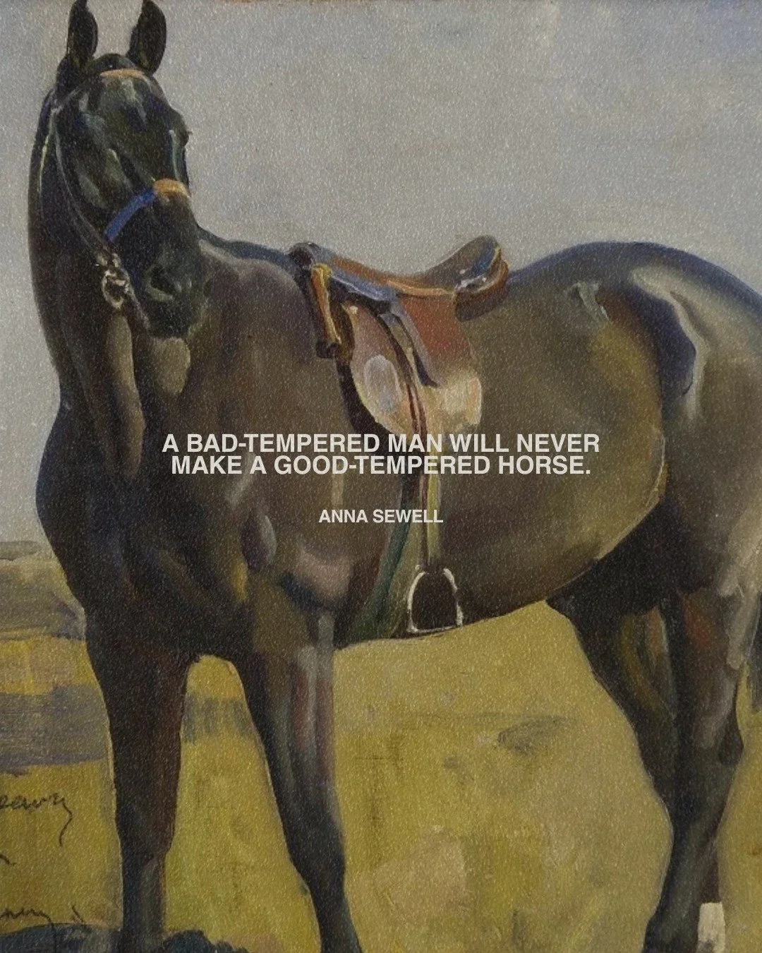 your emotional regulation 🤝 your horsemanship