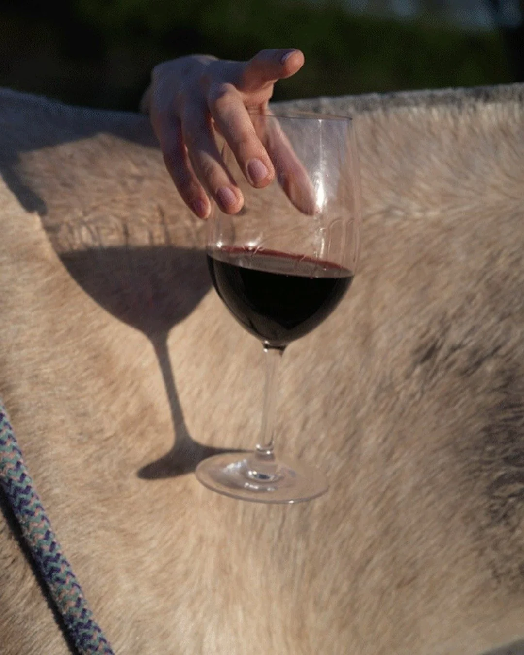 happy hour 🍷

photos by @sarahloutoscano.