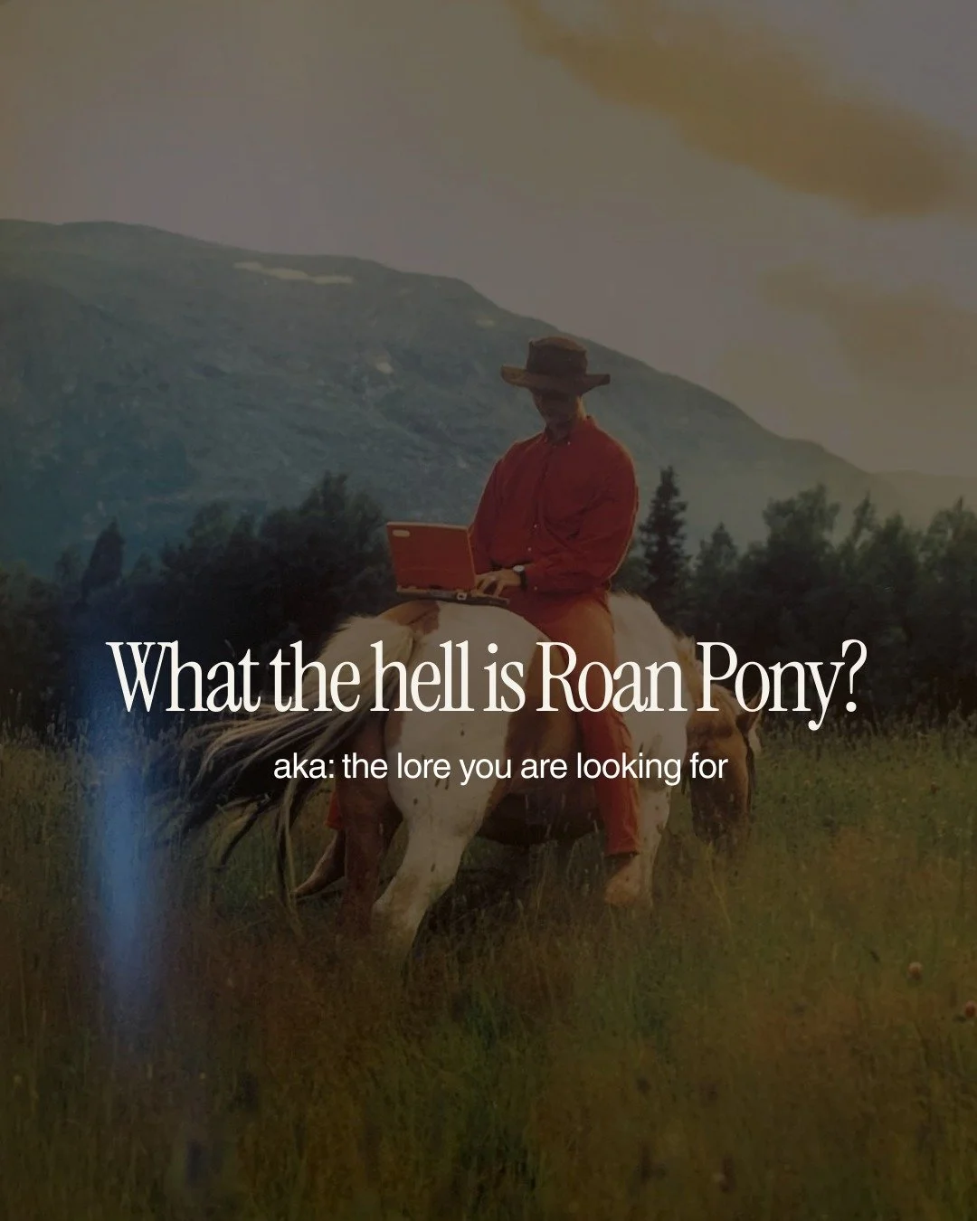 the roan pony origin story!! almost none of it was on purpose, almost all of it involved horses, and here we are. 

if you&rsquo;re new here, hi.
if you&rsquo;re just here to lurk, love it.
if you&rsquo;ve been around for a bit, thanks for sticking w