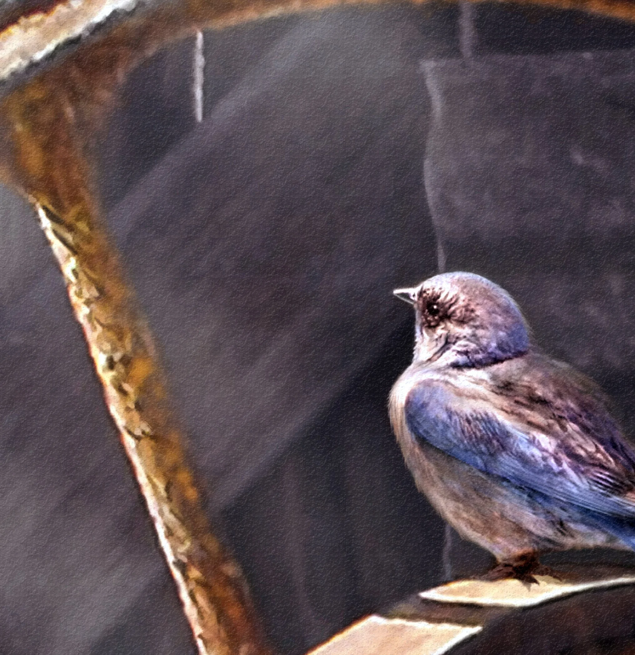 BluebirdAtBarn_JuliePuzWilson_Detail.jpg