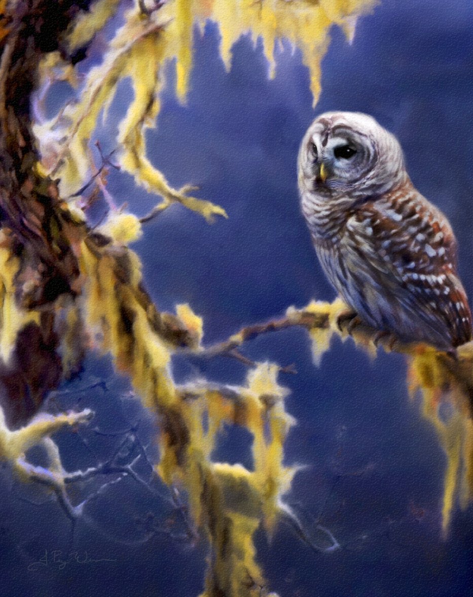 MoonlitOwl_JuliePuzWilson_FineArtPrint_WEB.jpg