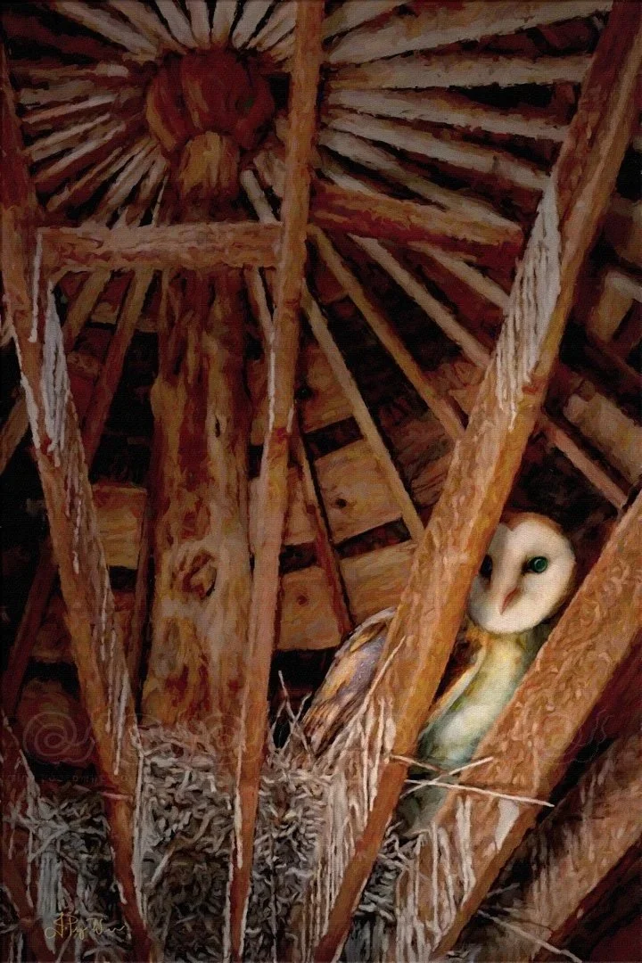 Round-Barn-Owl-Web-WM.jpg