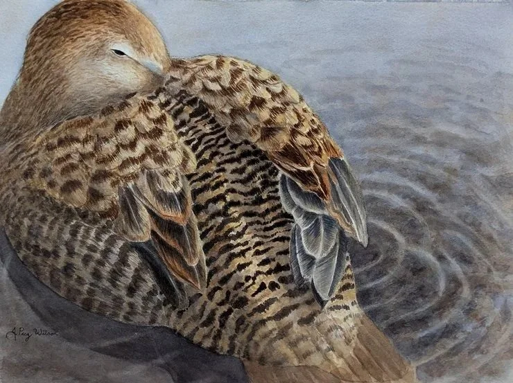 Quiet Moment - Watercolor 