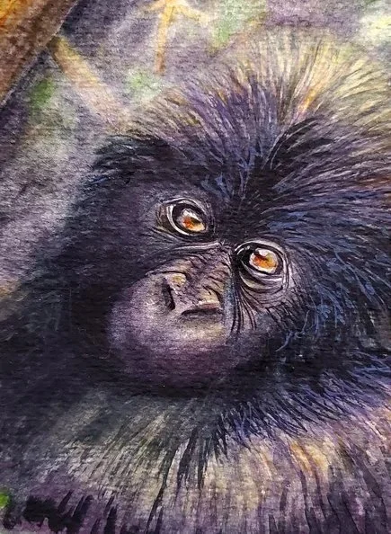 Baby Gorilla - Watercolor 