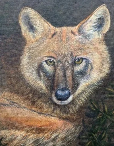 Coyote Eyes - Acrylic on Canvas