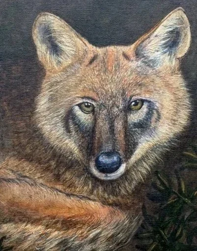 Coyote Eyes - Acrylic on Canvas