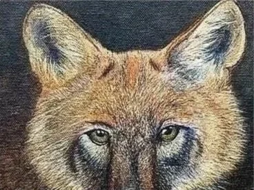 Coyote watchful eyes acrylic wildlife painting