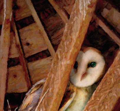 RoundBarnOwl_JuliePuzWilson_Detail.jpg