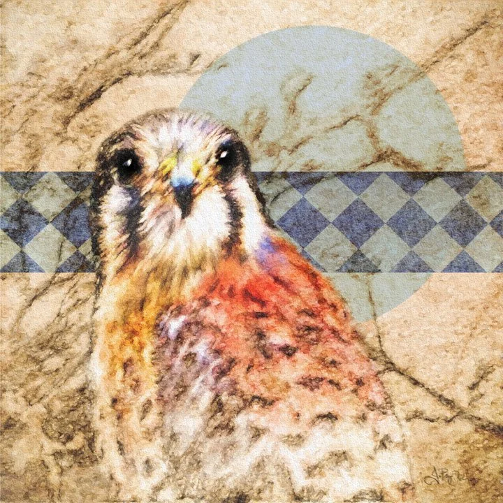 Focus-Art-Print-Julie-Puz-WilsonWEB.jpg