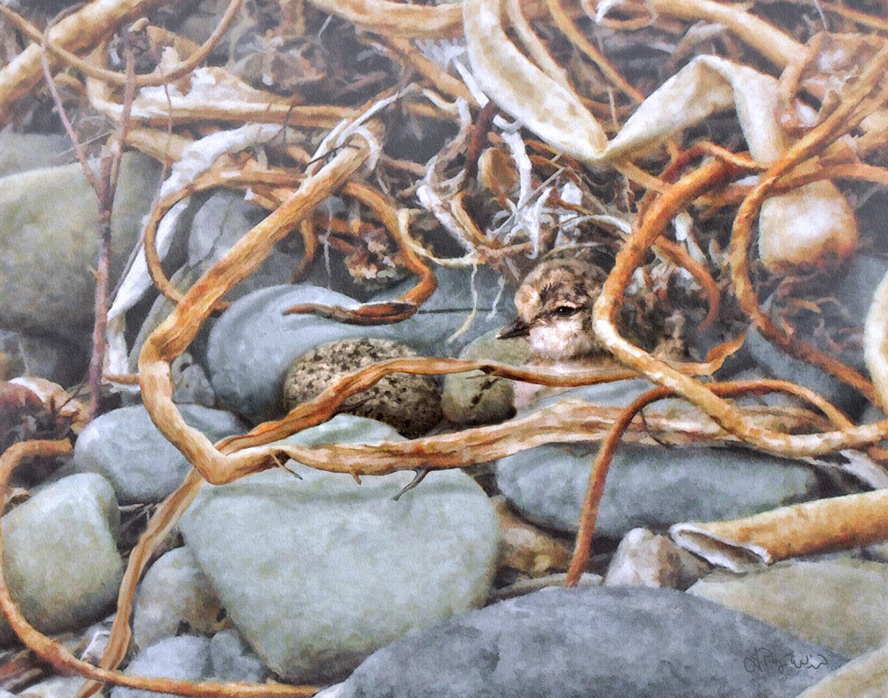 PloverChickCamouflage_JuliePuzWilson_FineArtPrint_WEB.jpg