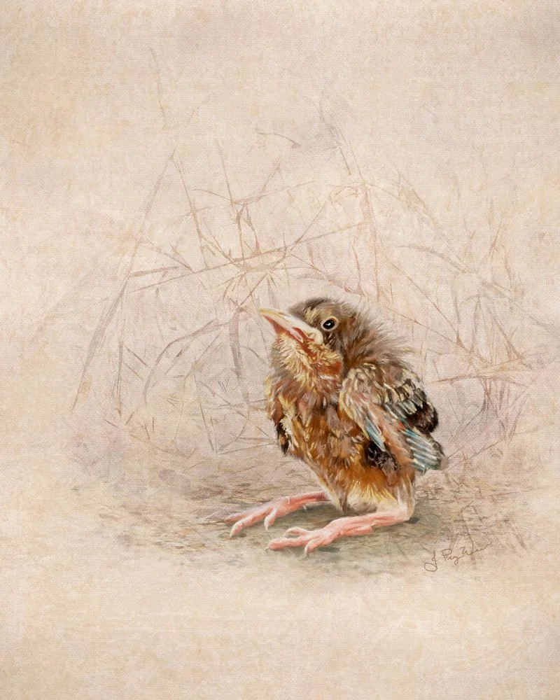 Charming and detailed painting of a fledgling baby bird on a neutral background