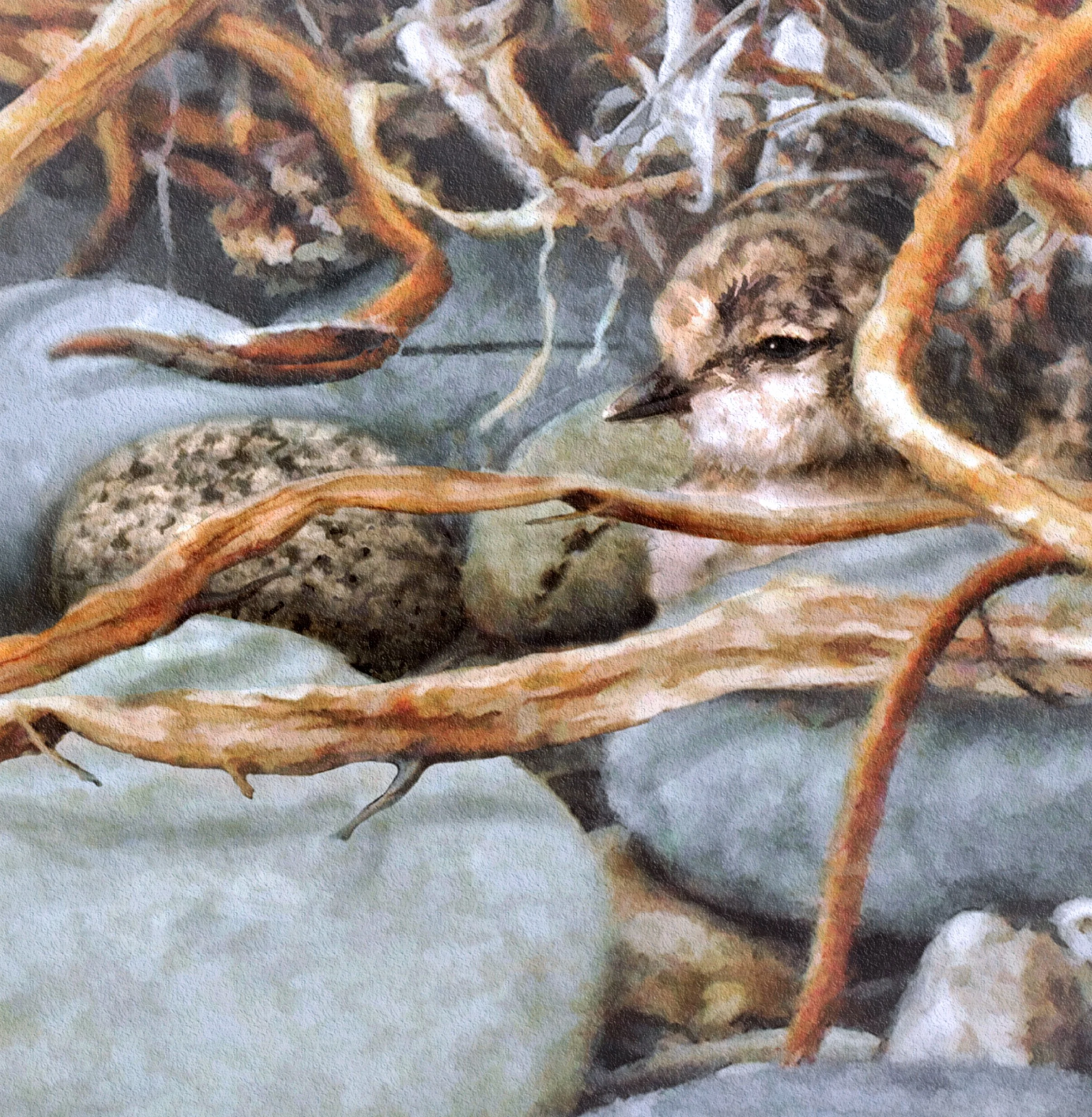 PloverChickCamouflage_JuliePuzWilson_Detail.jpg