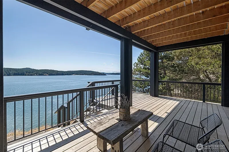 Orcas 11.webp