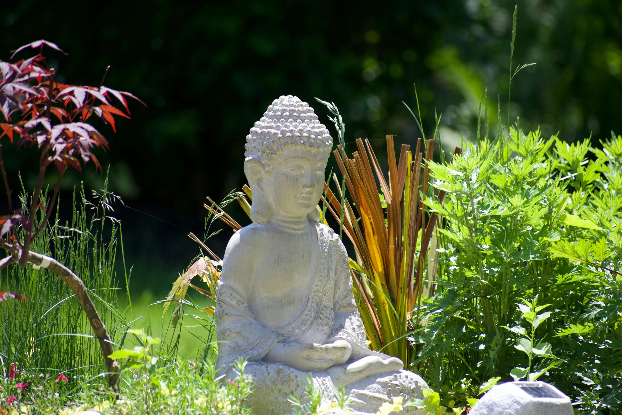 Workshop Stressbewältigung durch Achtsamkeitsmeditation. Weisheiten aus der antiken buddhistischen Tradition