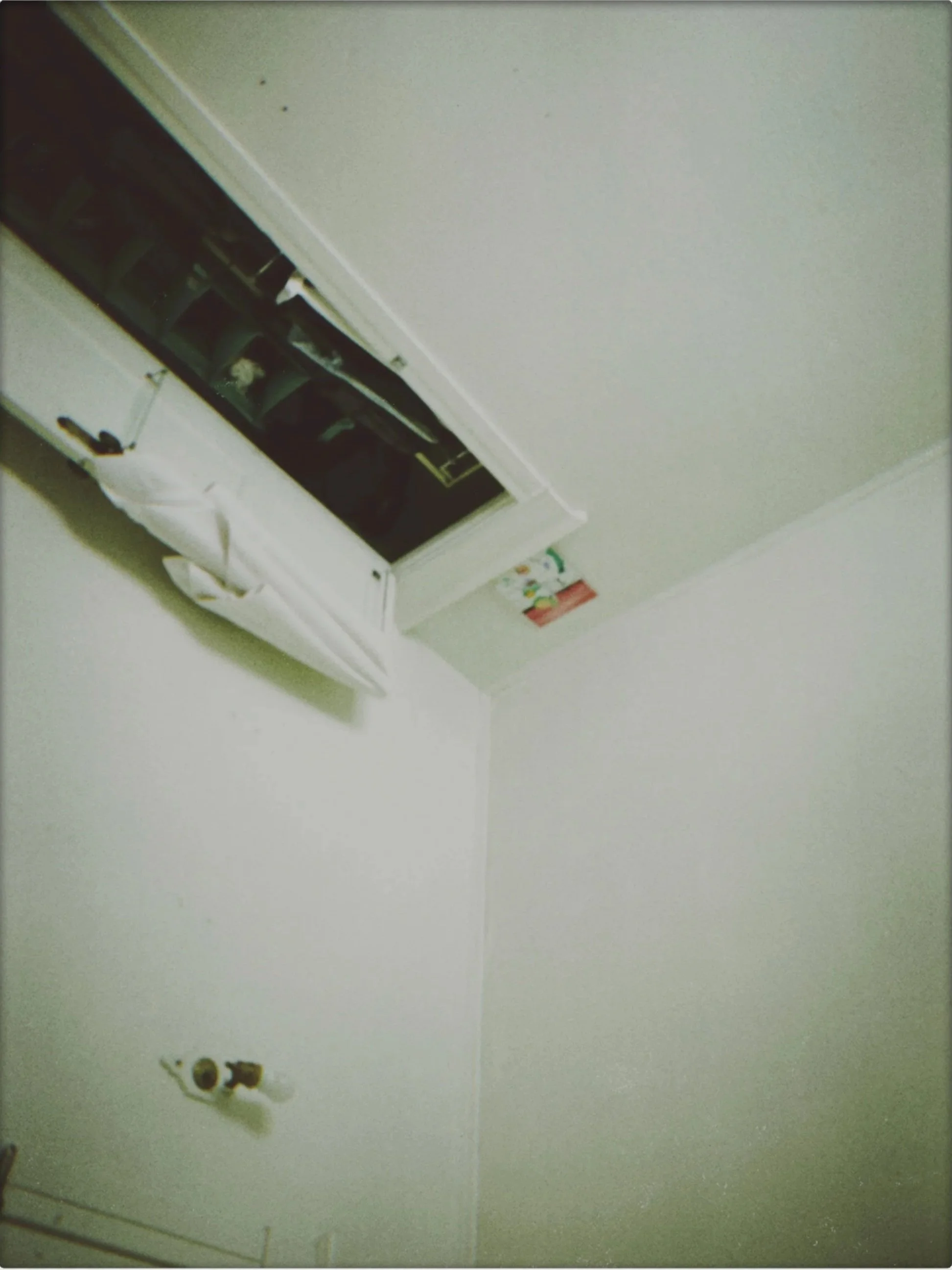 img.jpg