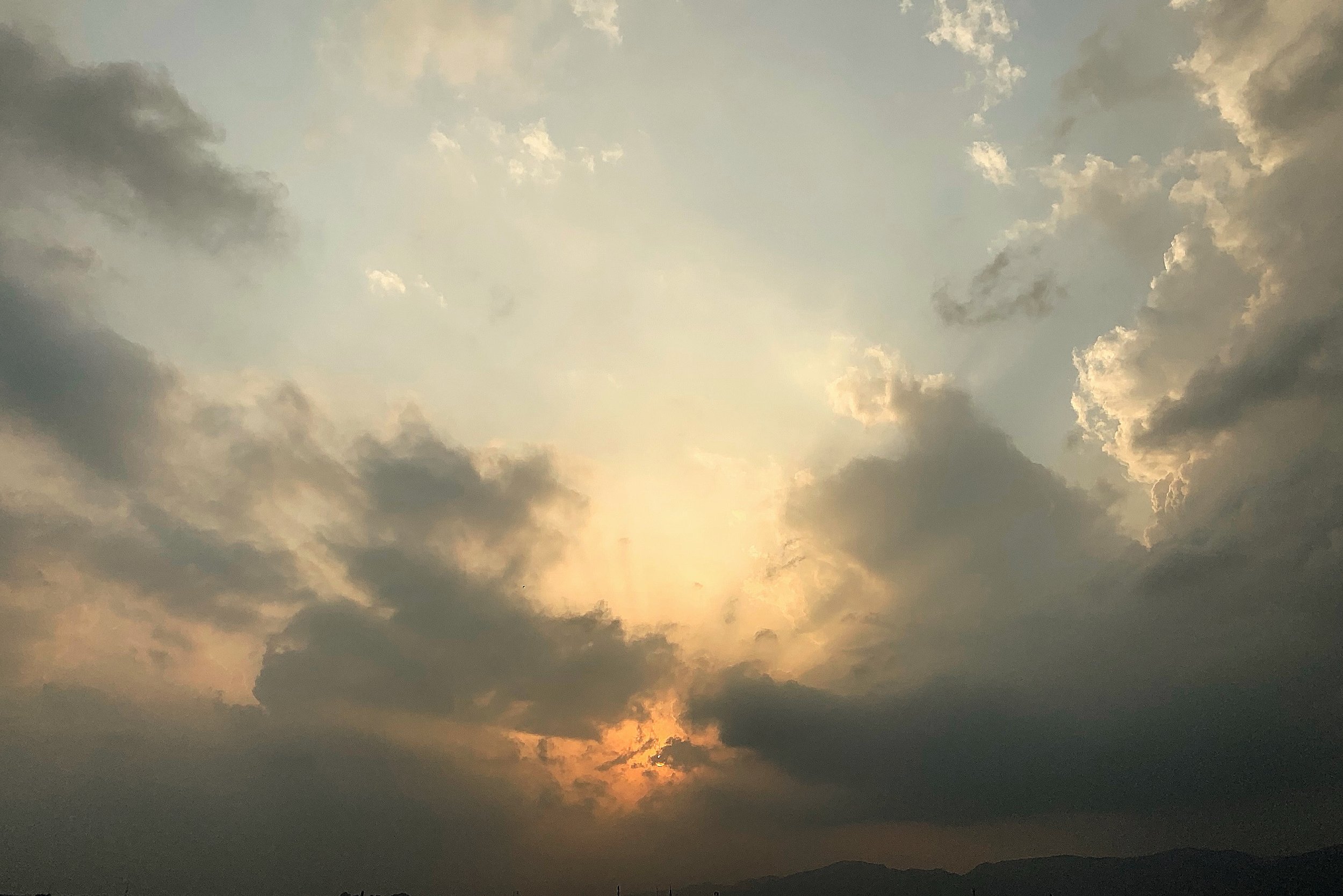 IMG_0594.jpeg