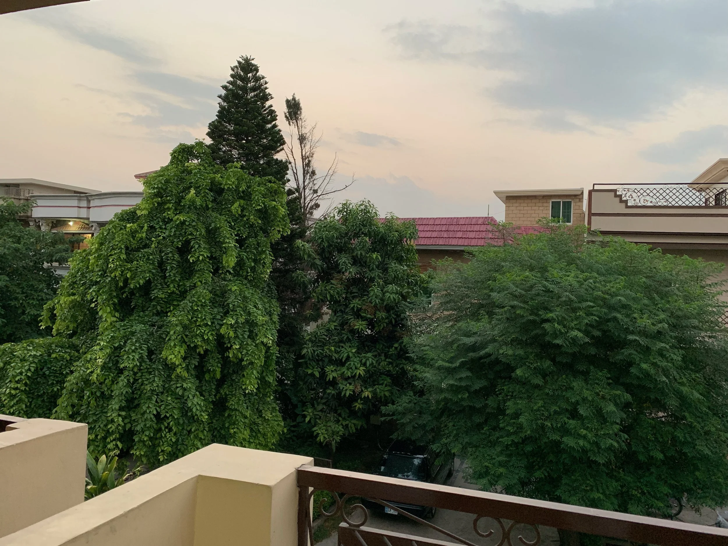 IMG_0411.jpeg
