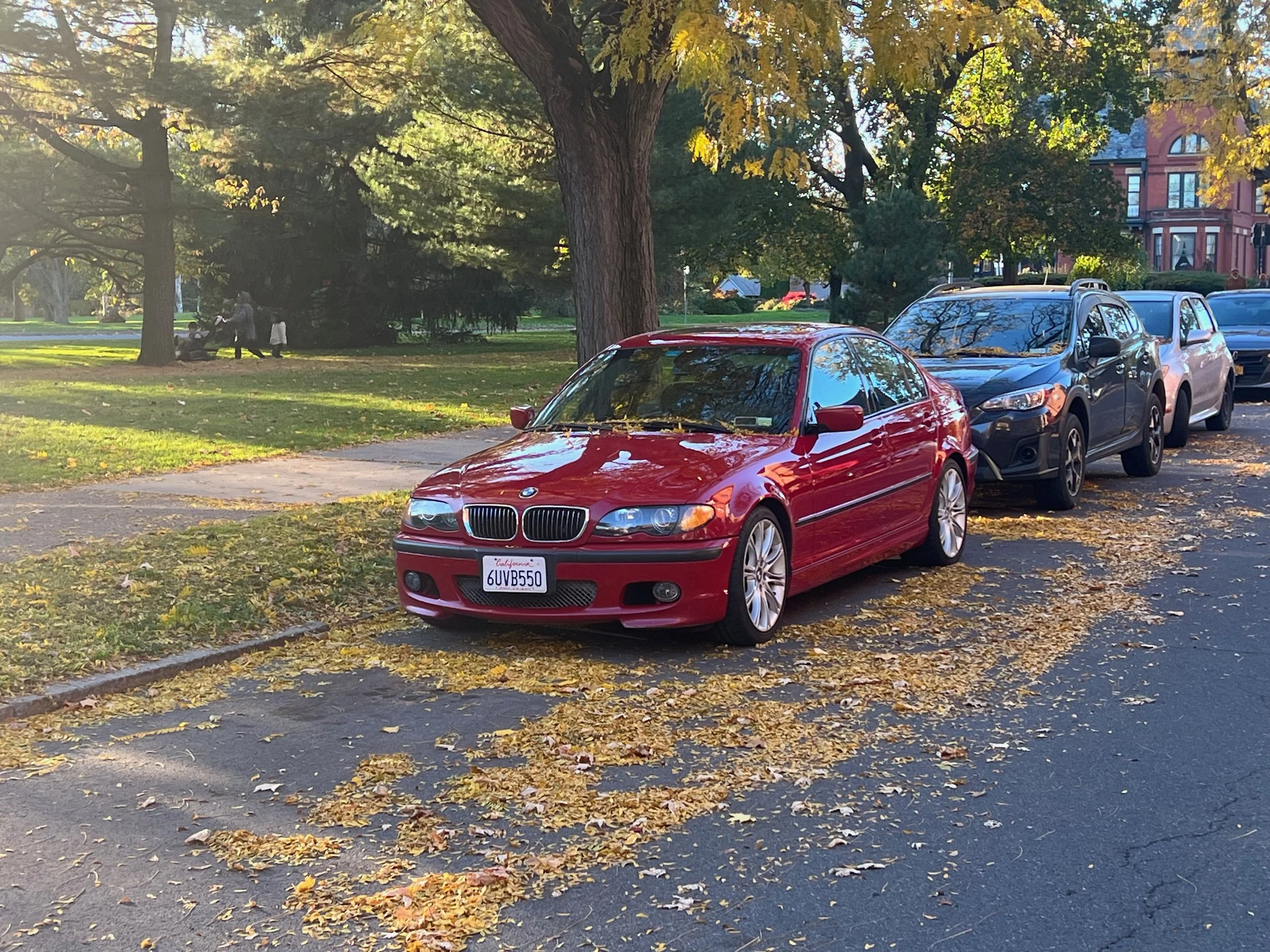 IMG_4144.jpeg