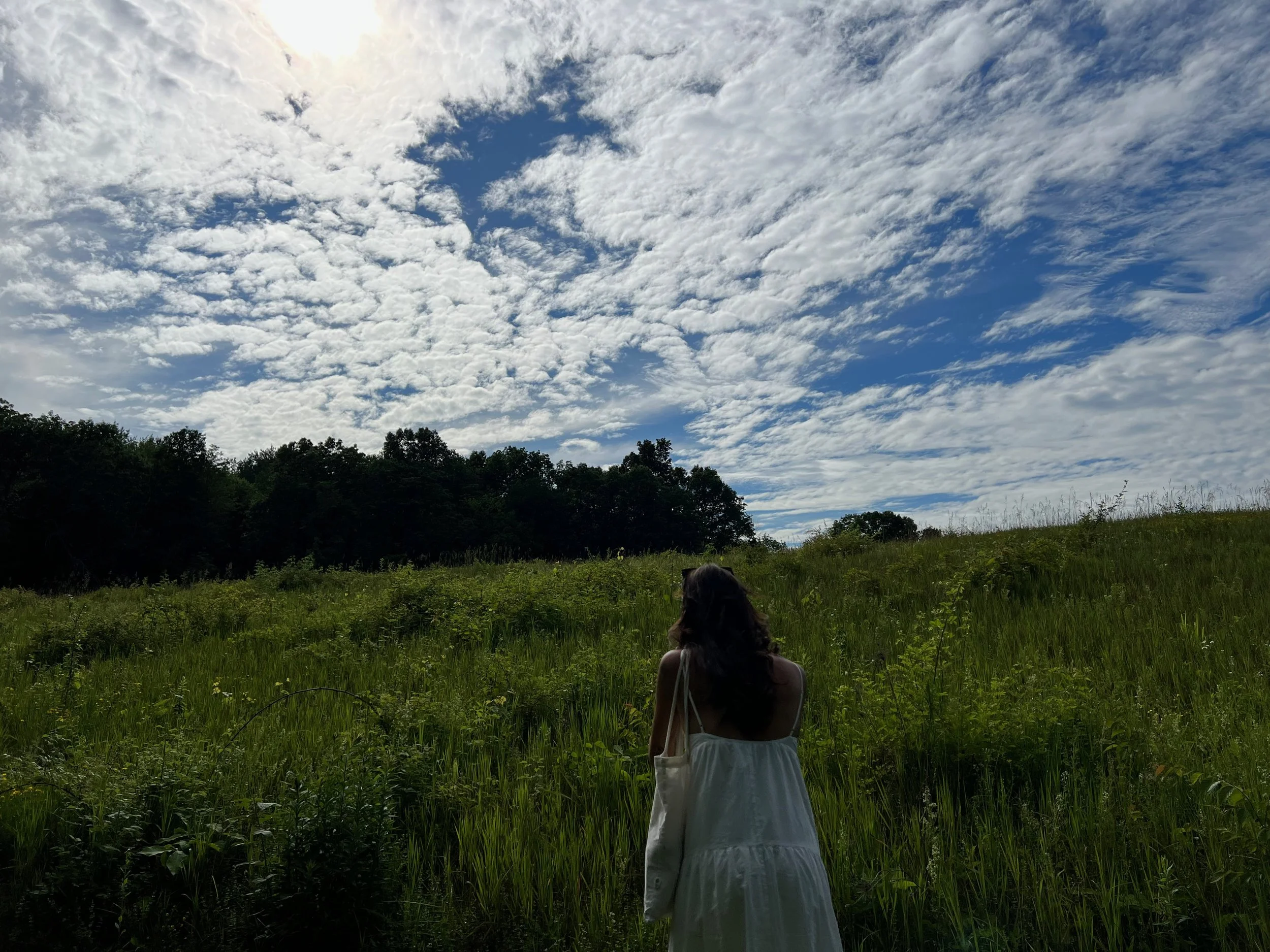 IMG_6165.jpeg
