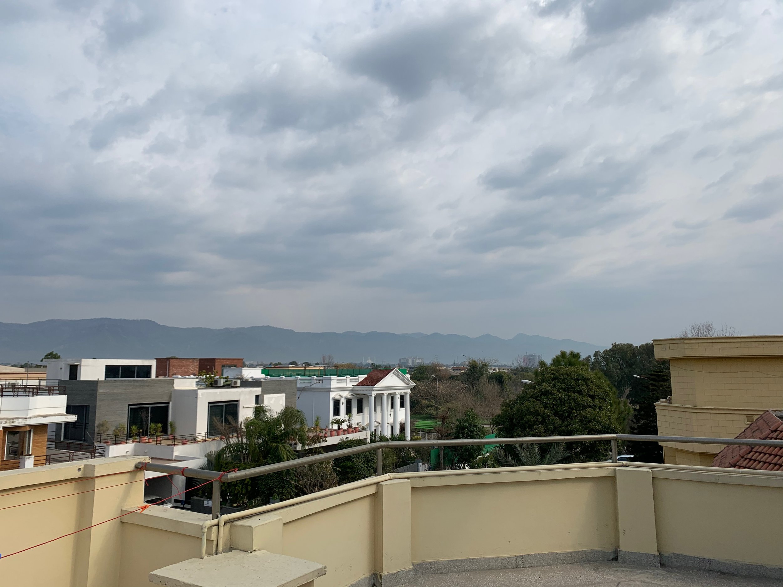 IMG_2453.jpeg