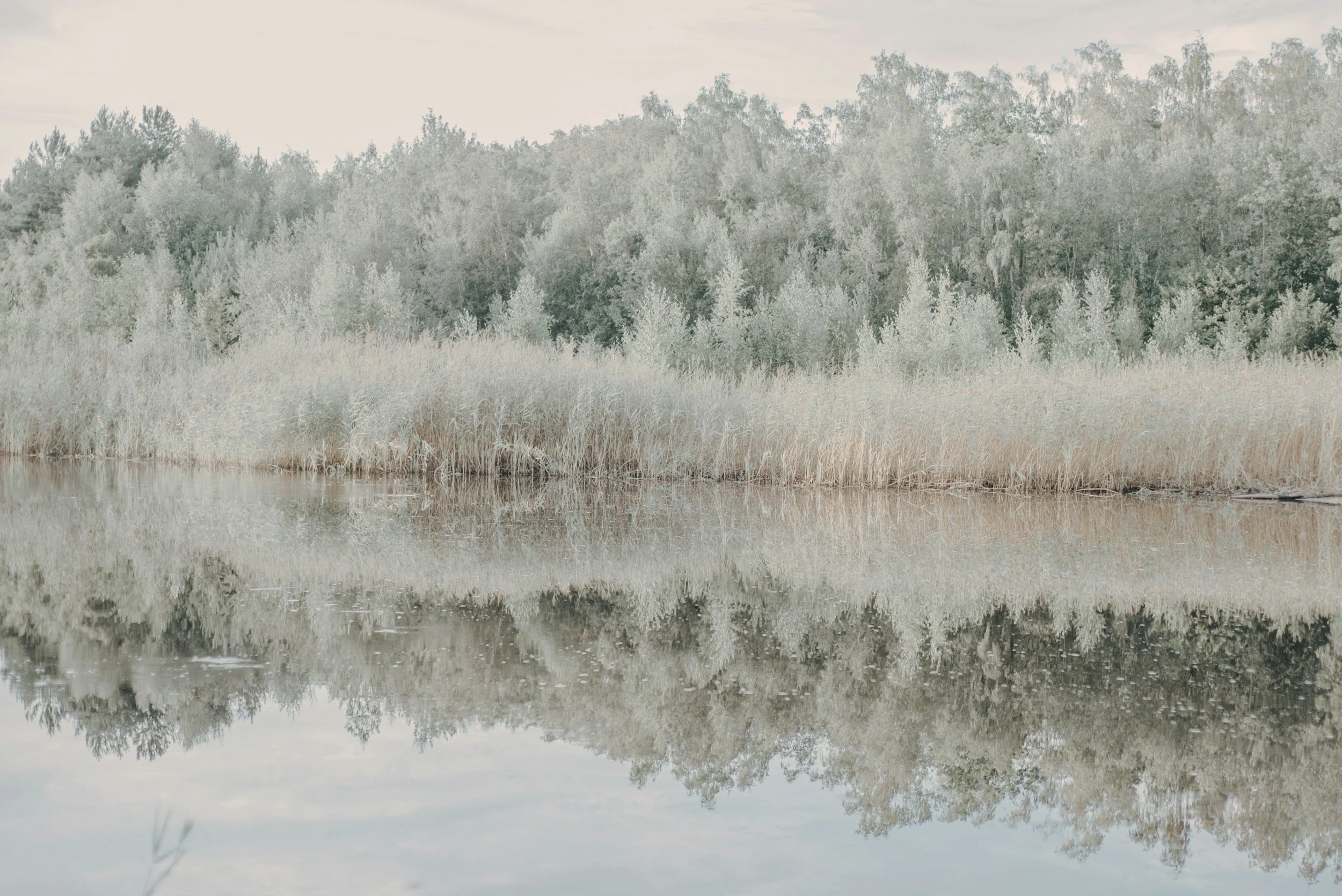 ✨ December’s invitation: pause and reflect