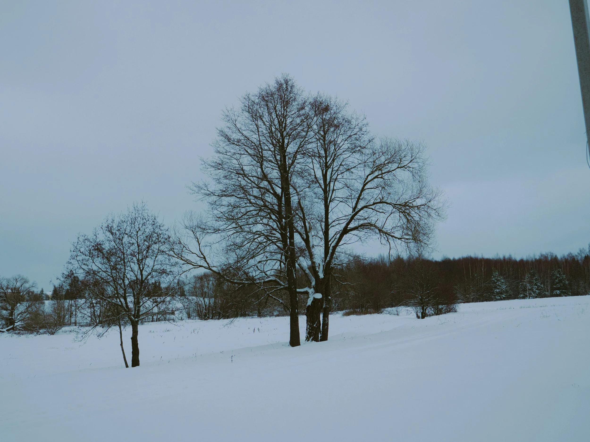  January’s Invitation — Stillness ❄️ 