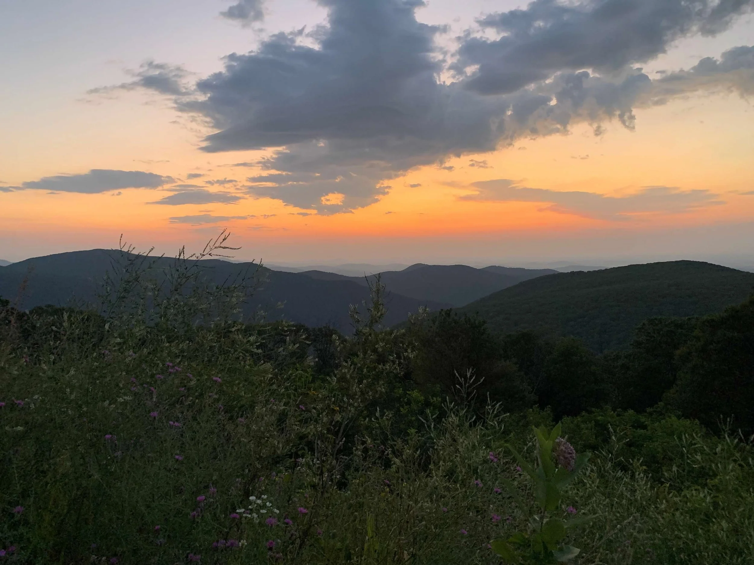 Scenic view of mountain ranges at sunset with a colorful sky, clouds, and lush green vegetation in the foreground.
