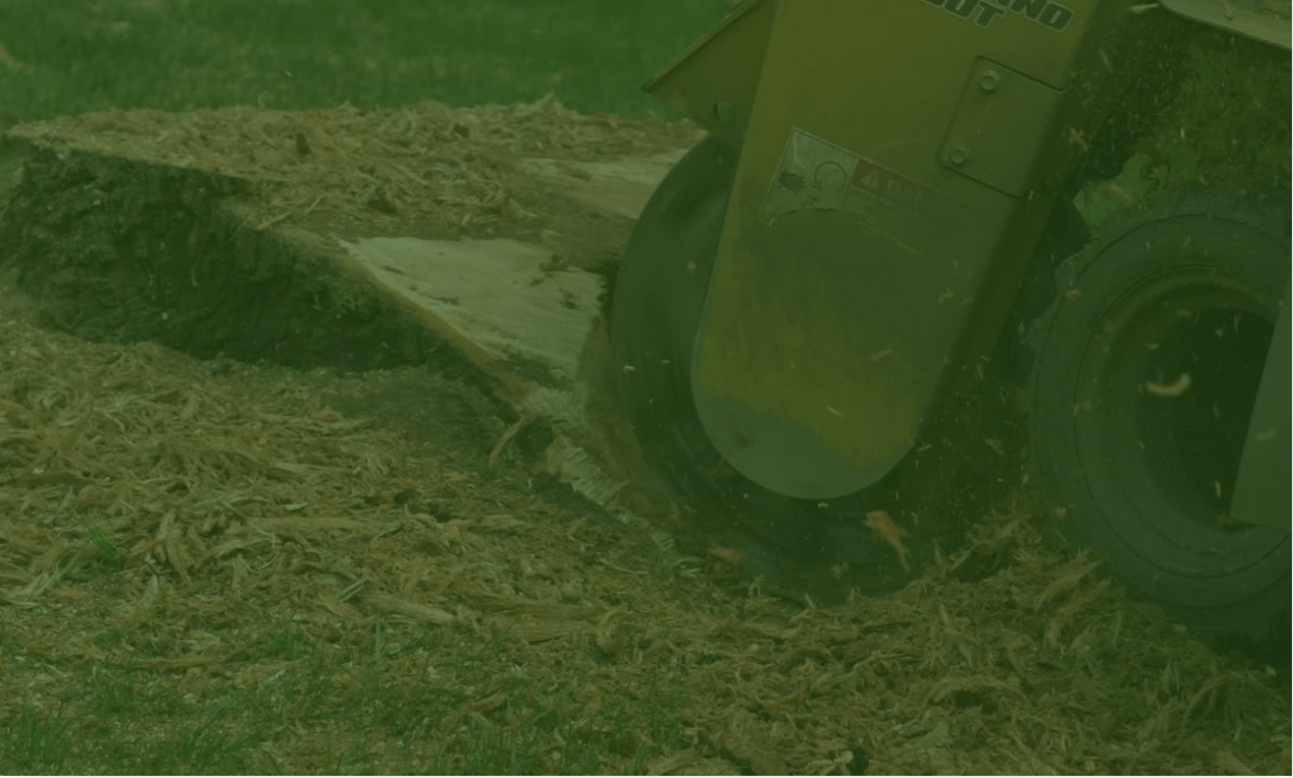 TSM Green Hero Banner Image.PNG