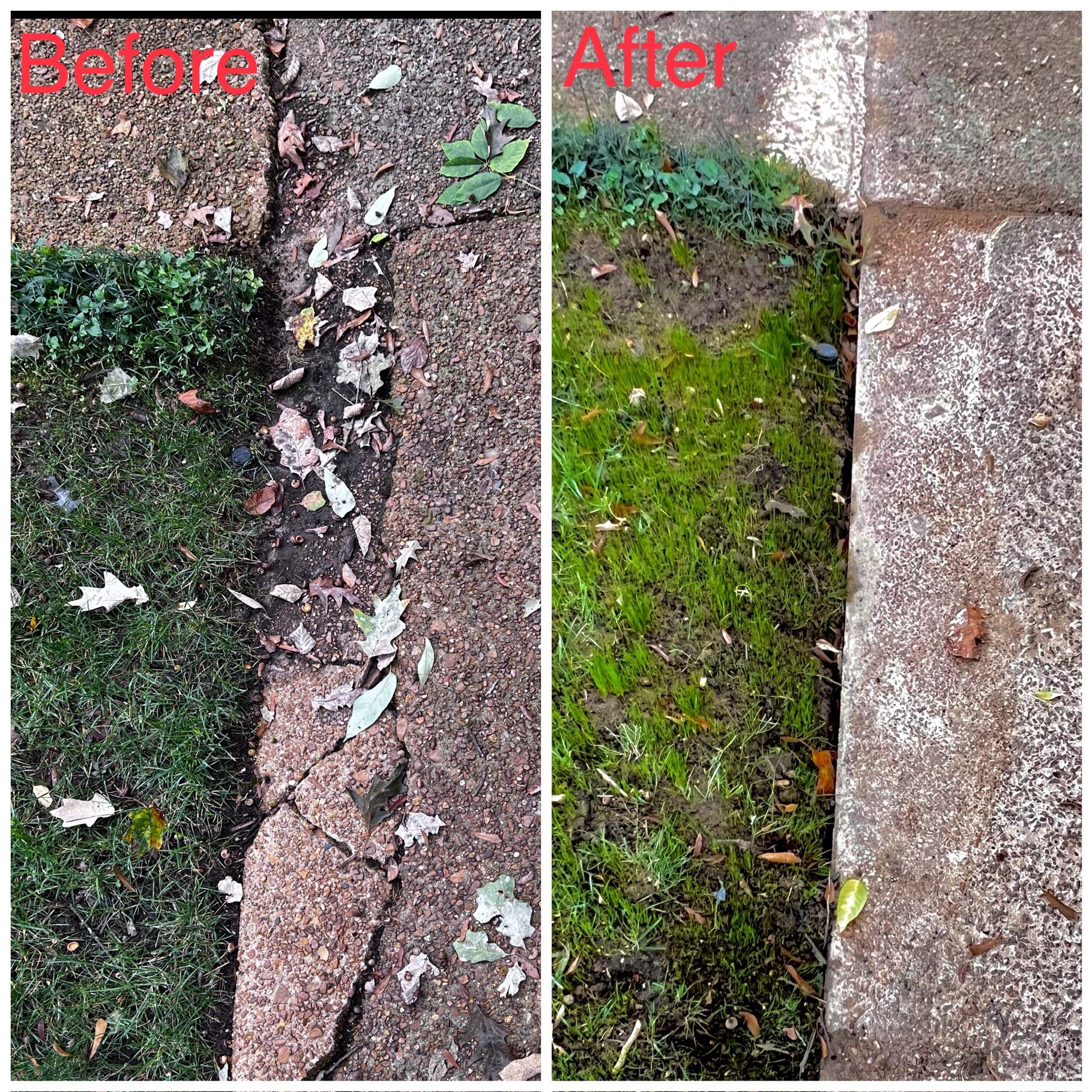 Removed and repoured section of concrete driveway